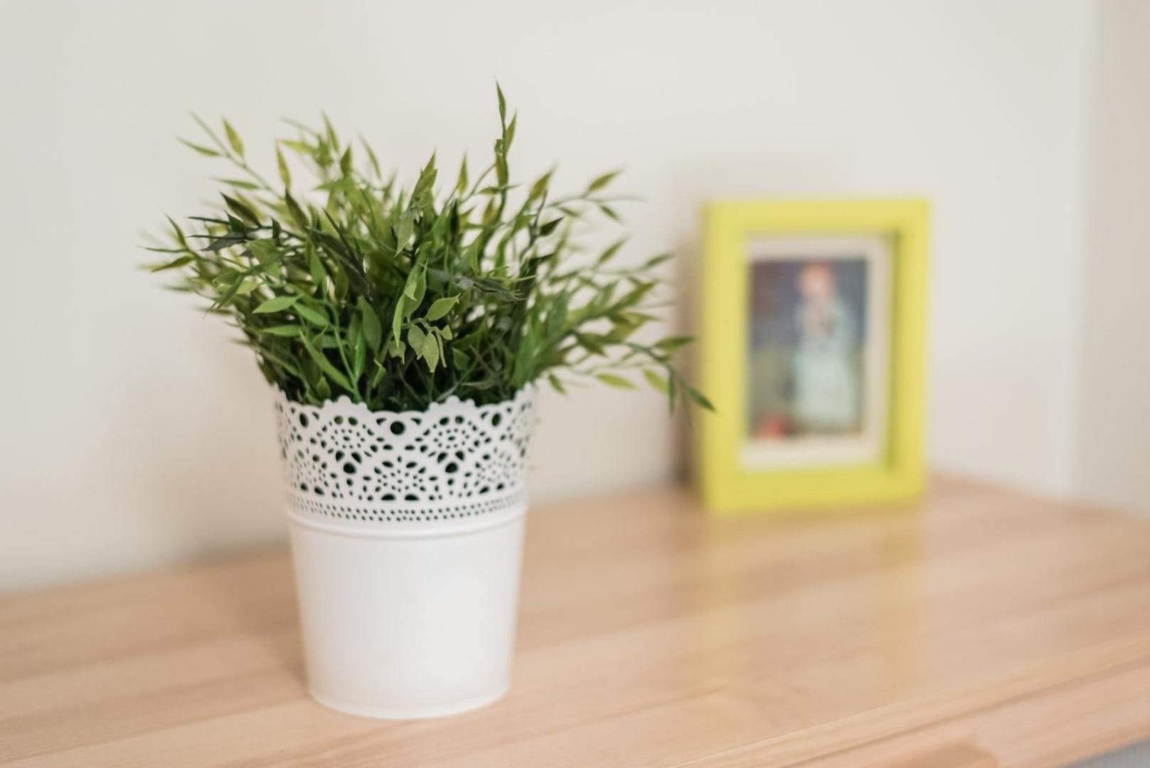Guestready - Amaryllis Apartment بورتو المظهر الخارجي الصورة
